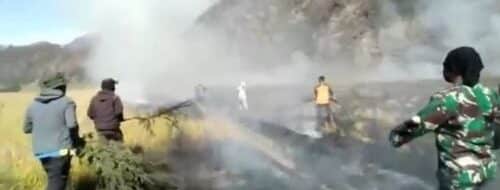 Bukit Kingkong di Bromo Terbakar, Petugas Berjibaku Padamkan Api