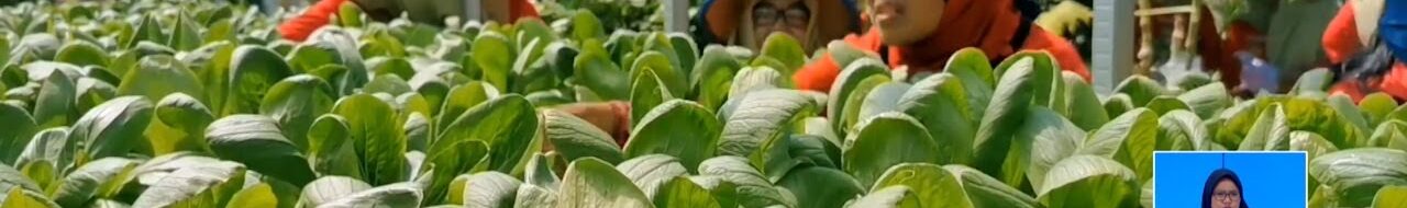 Emak-emak Sidoarjo Berebut Sayuran Gratis dari Mobil Dapur Lapangan