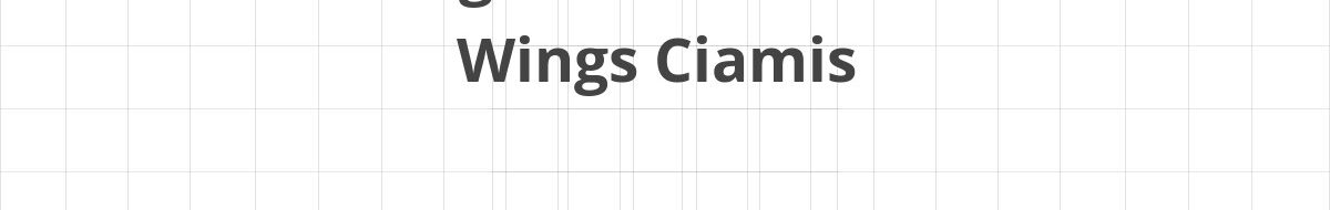 Lowongan SPV Warehouse Wings Ciamis