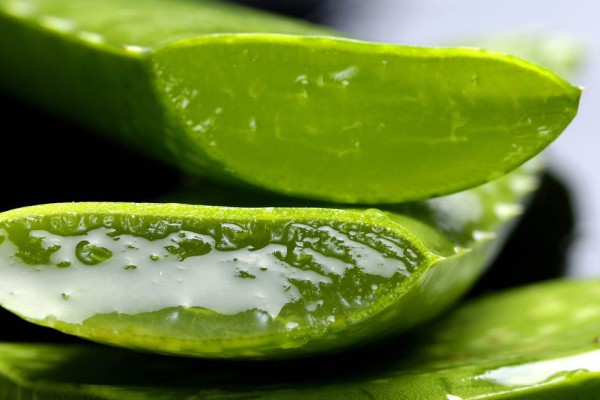 5 Resep Lidah Buaya Segar: Rahasia Minuman Anti Dahaga