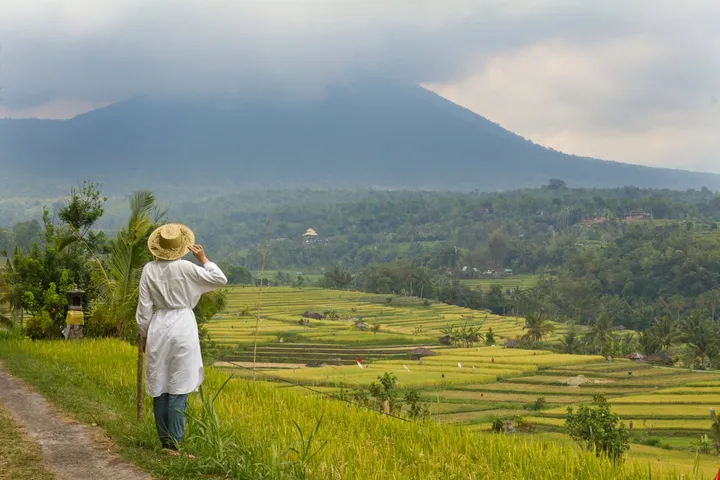6 Desa Wisata Jawa Timur: Edukasi Seru & Liburan Keluarga 2025