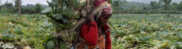 Bangkit dari Konflik: Petani Kongo Sukses di Kibumba