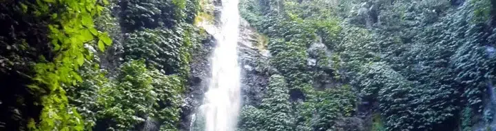 Curug Benowo: Petualangan Air Terjun Tersembunyi di Hutan Jogja