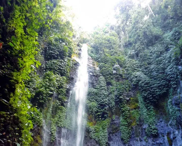 Curug Benowo: Petualangan Air Terjun Tersembunyi di Hutan Jogja