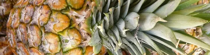 Daun Nanas Jadi Serat Tekstil Mewah: Inovasi BBSPJI Ciptakan Green Jobs