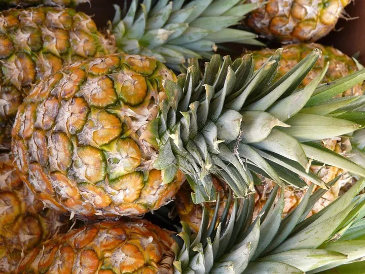 Daun Nanas Jadi Serat Tekstil Mewah: Inovasi BBSPJI Ciptakan Green Jobs