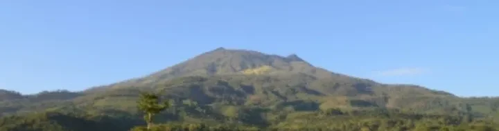 Ekowisata Gunung Lawu: Pesona Alam Solo Raya yang Menenangkan