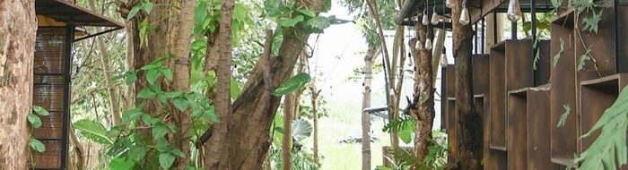 Eksplorasi Kuliner Hidden Gem Delanggu: Asri, Nyeni & Menggoda