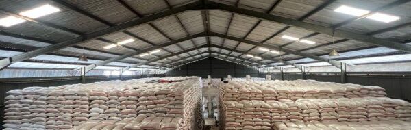 Gudang Beras Raksasa: 25 Ribu Gudang Baru Antisipasi Surplus