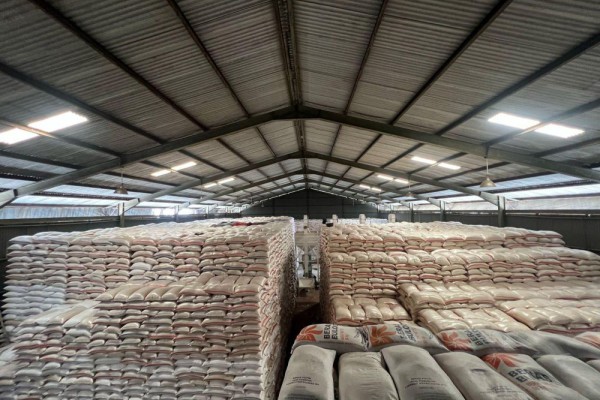 Gudang Beras Raksasa: 25 Ribu Gudang Baru Antisipasi Surplus