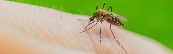 Kecerdasan Buatan: Revolusi Diagnosis Malaria di Papua