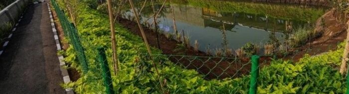 Kolam Retensi Derwati: Solusi Anti Banjir Bandung yang Asri