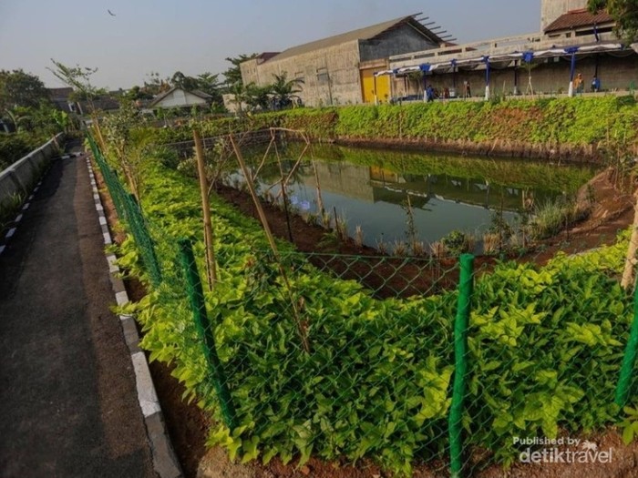 Kolam Retensi Derwati: Solusi Anti Banjir Bandung yang Asri