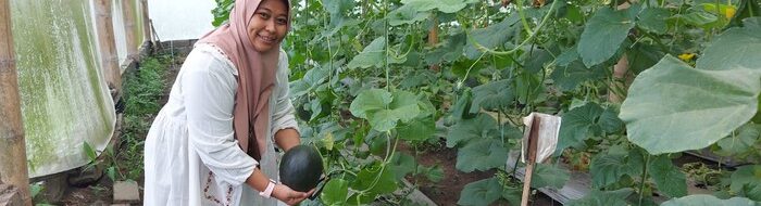 Melon Hitam Unik: Temuan Revolusioner Mahasiswi UB