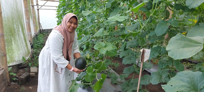 Melon Hitam Unik: Temuan Revolusioner Mahasiswi UB