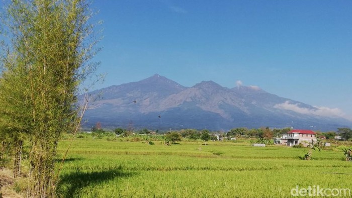 Pendakian Gunung Arjuno-Welirang Dibuka Kembali: Petualangan Menanti!
