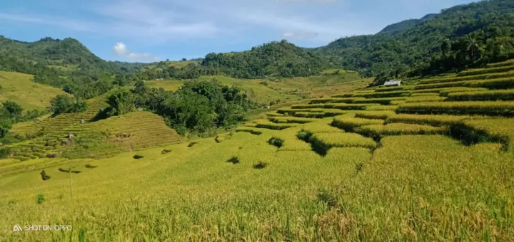 Petualangan Sawah Terasering Rana: Kisah Adri & Putri di NTT