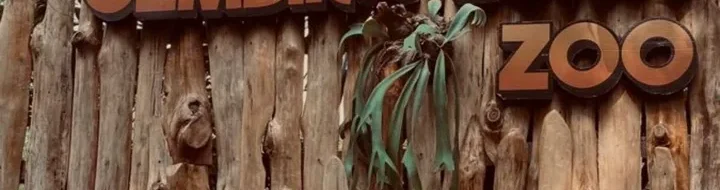 Petualangan Seru Gembira Loka Jogja: Edukasi & Hiburan Keluarga