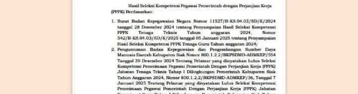 R2 R3 PPPK: Resmi Diangkat, Apakah Anda Termasuk?