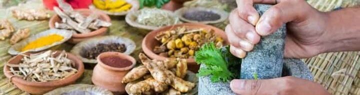 Rahasia Obat Herbal Tingkatkan Trombosit DBD, Pulih Lebih Cepat