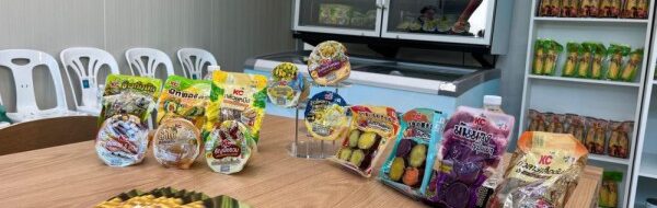 Raja Jagung Manis Thailand Kuasai Pasar Global