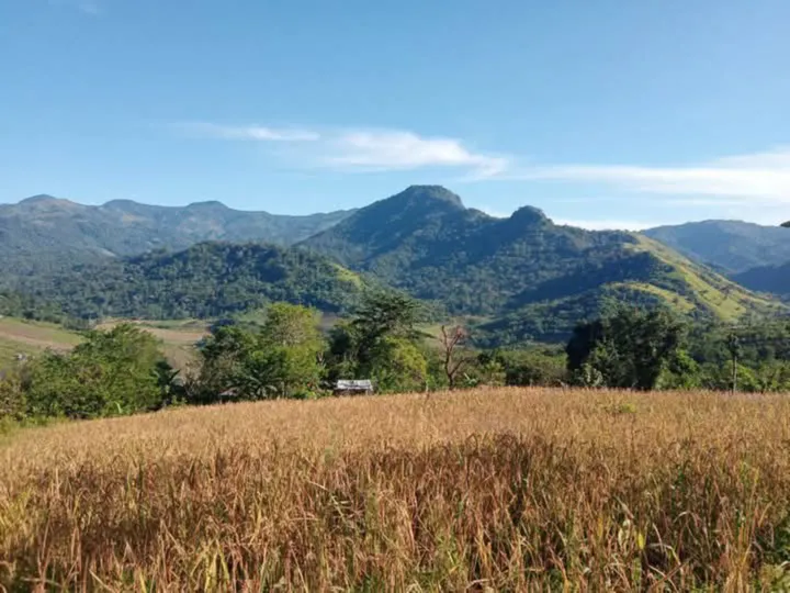 Satar Mata: Surga Tersembunyi Flores, Pesona Alam Manggarai Timur