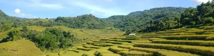 Sawah Rana Manggarai Timur: Destinasi Instagenik, Healing di NTT