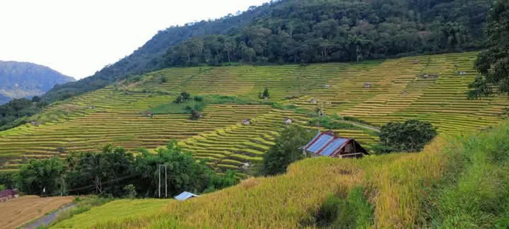 Sawah Terasering Pighong-Rinding Nao: Surga Tersembunyi NTT