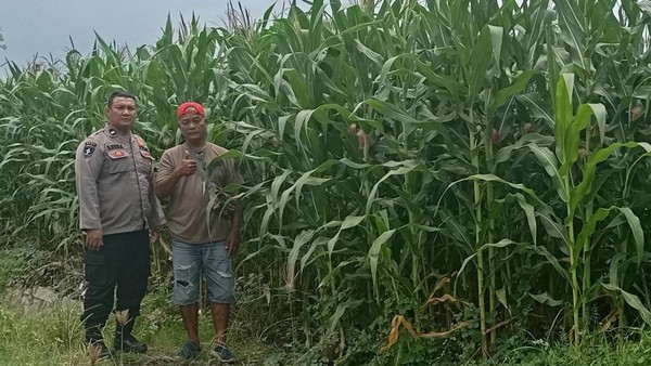 Sidoarjo: Polisi Bantu Petani Raih Swasembada Pangan Nasional