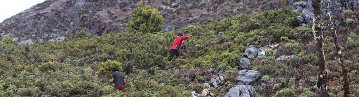 Tragedi Gunung Binaiya: Pencarian Dihentikan, Pendakian Ditutup