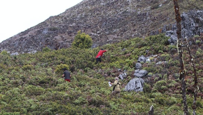 Tragedi Gunung Binaiya: Pencarian Dihentikan, Pendakian Ditutup