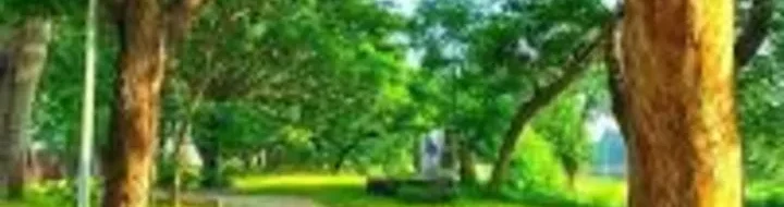 Trek Jogging Baru di 3 Taman Jaksel Dekat ASEAN?