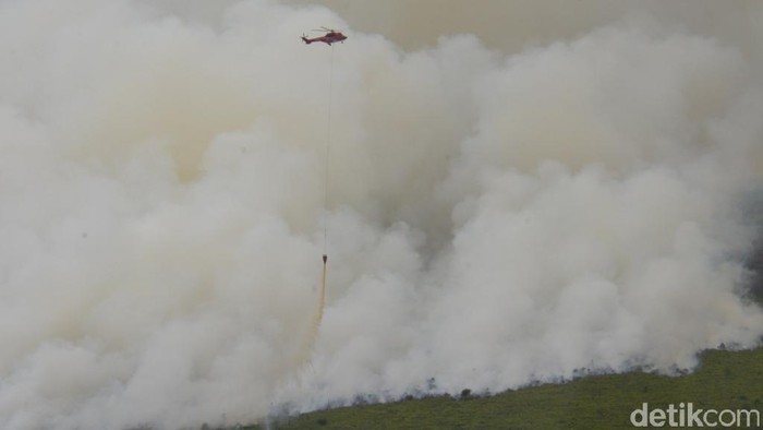 Waspada! Karhutla Ancam Indonesia, Riau Hadapi Kemarau Ganda