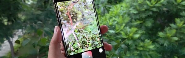 iPhone 16: Nostalgia Kamera 60-an, Fotografi Klasik Kembali