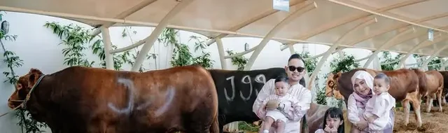 Juragan 99 & Shandy Purnamasari: Kurban 28 Sapi Idul Adha 2025