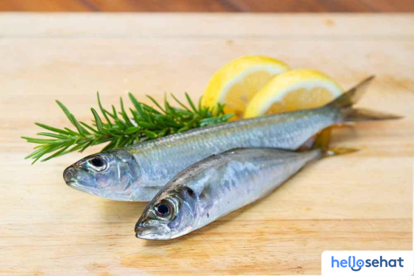 MPASI Ikan Sarden: 4 Resep Mudah & Nutrisi Melimpah