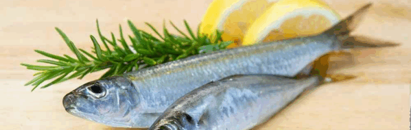 MPASI Ikan Sarden: 4 Resep Nutrisi & Manfaatnya