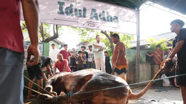 Sahroni DPR: 33 Ton Daging Kurban untuk Jakarta!