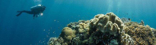 Wakatobi: Surga Tersembunyi untuk Menenangkan Jiwa dan Merawat Diri