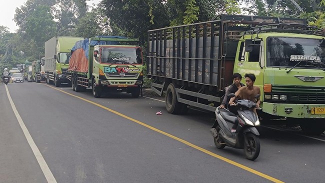 Demo Truk Ketapang Sebabkan Kemacetan Panjang di Pelabuhan Gilimanuk