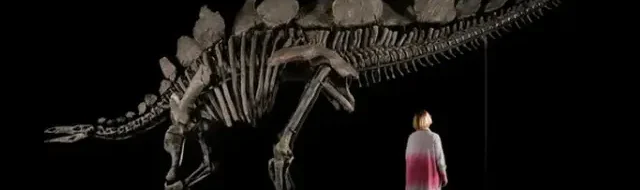 Fosil Dinosaurus Mengejutkan Ditemukan di Lahan Parkir!