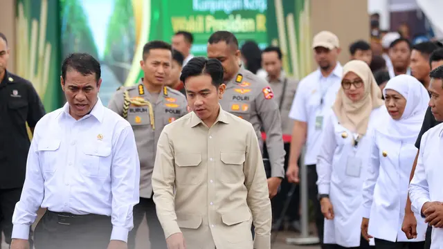Gibran Kantor di Papua: Solusi Cepat Atasi Krisis?