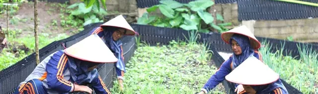 PGE Ulubelu: Empowering Women, Bolstering Food Security Now