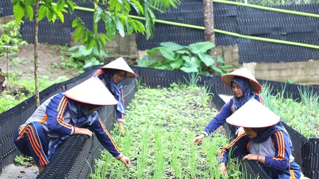 PGE Ulubelu: Empowering Women, Bolstering Food Security Now