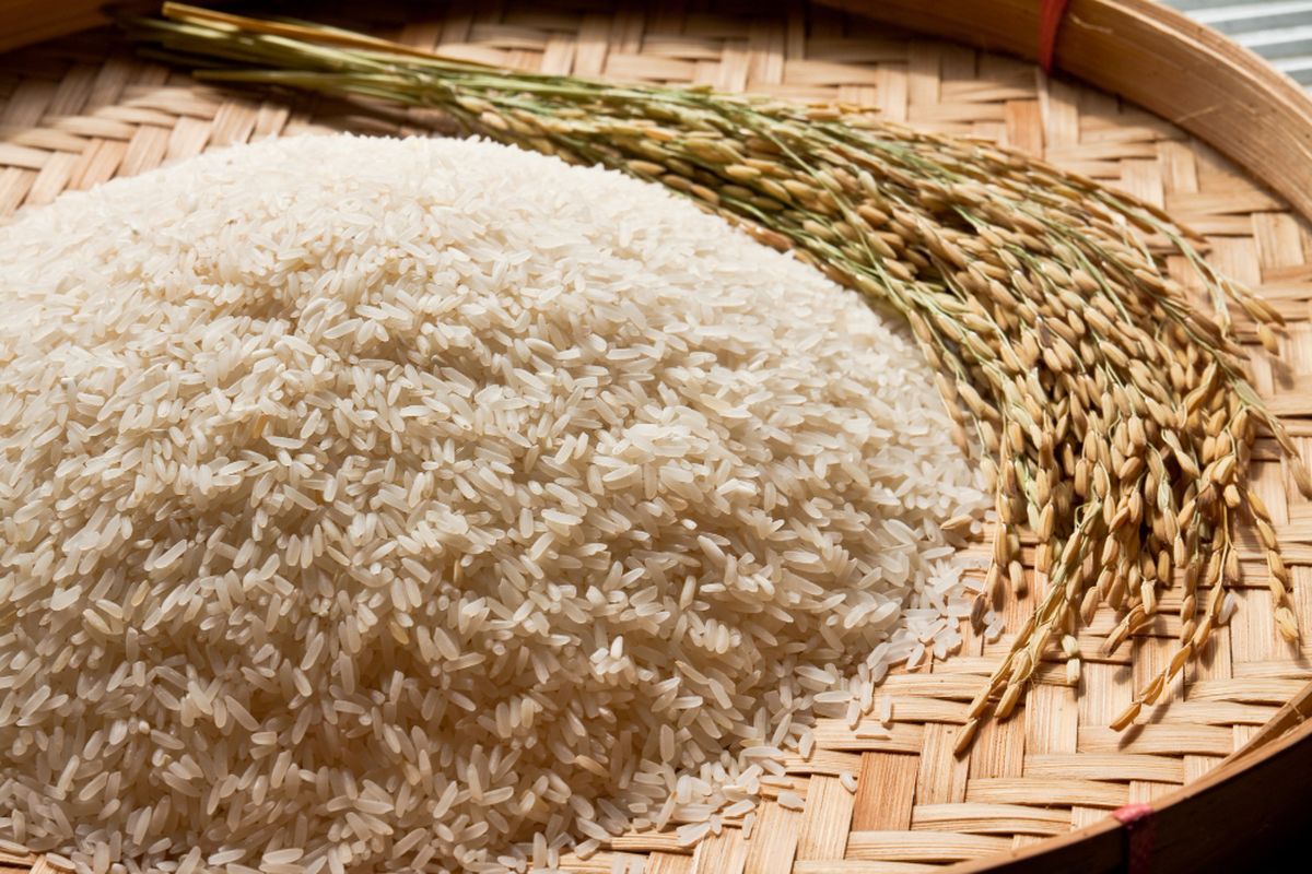 Rahasia Memilih Beras Berkualitas: Warna, Aroma, dan Uji Kimia