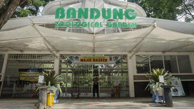 Ultimatum Wali Kota Bandung: Selesaikan Sengketa Manajemen Bandung Zoo