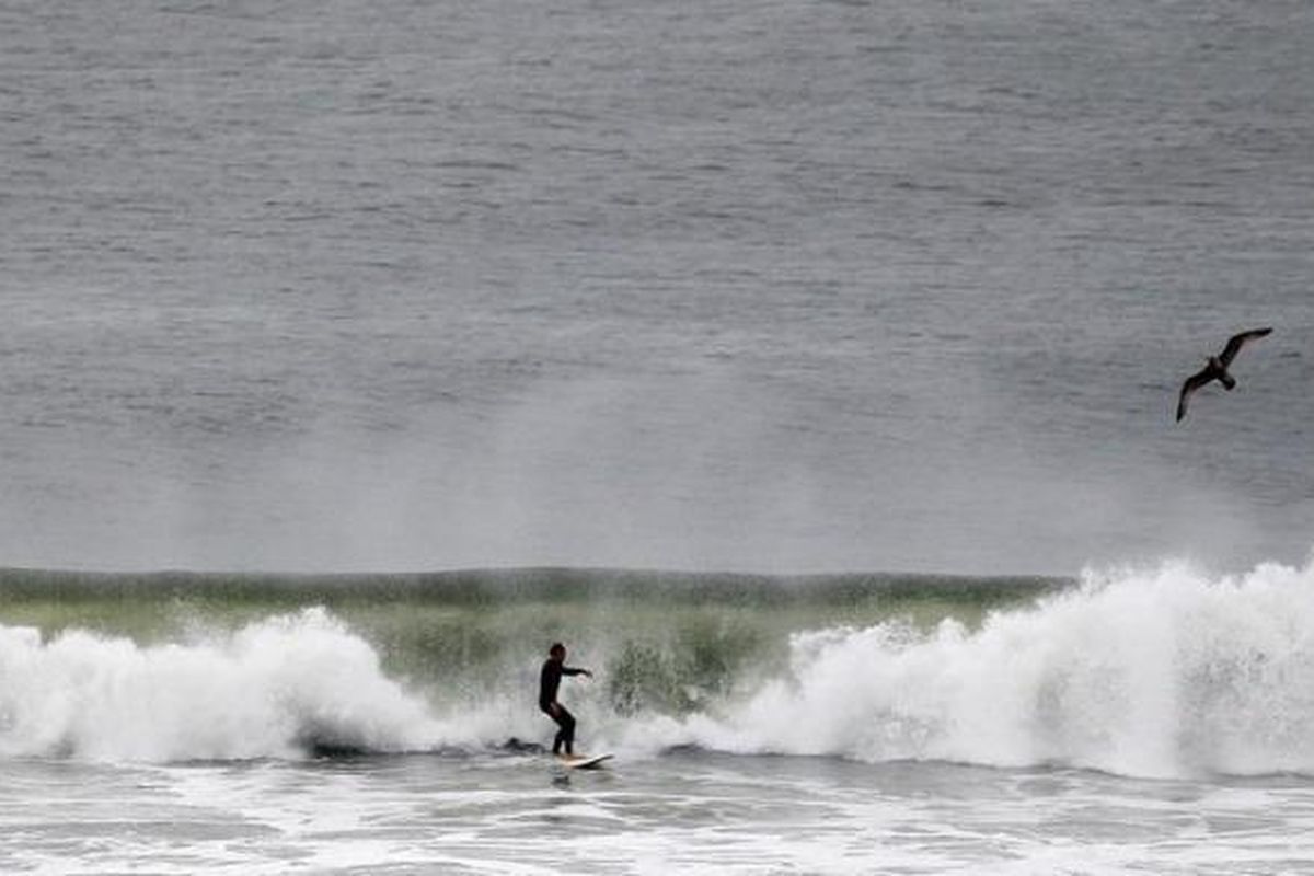 Waspada! Banjir Rob Ancam Pesisir Jatim Hingga Juli 2025