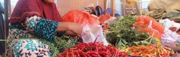 Dari Nol Jadi Sultan Cabai! Pria di Mamasa Raup Rp40 Juta Per Bulan