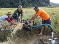 Rahasia Jaga Ketahanan Pangan RI Terkuak! Pupuk Indonesia Kumpulkan Ratusan Petani di Lombok