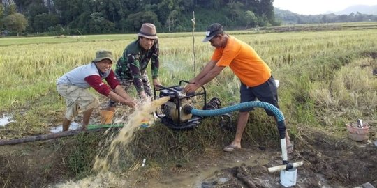 Rahasia Jaga Ketahanan Pangan RI Terkuak! Pupuk Indonesia Kumpulkan Ratusan Petani di Lombok